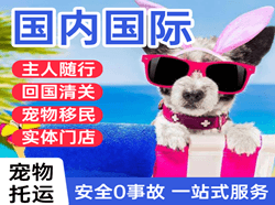 天水麦积山航空货运国际宠物托运 【国